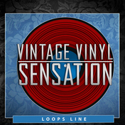 Vintage Vinyl Sensation