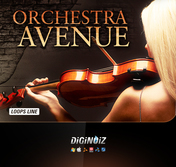 Orchestra Avenue