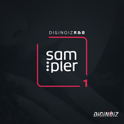 Diginoiz Р&Сэмплер Б