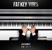Fat Key Vibes