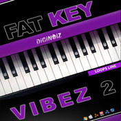 Fat Key Vibez 2