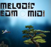 Melodic EDM