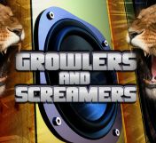 Growlers and Screamers