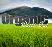 Органические Остынь